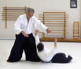 aikido throw
